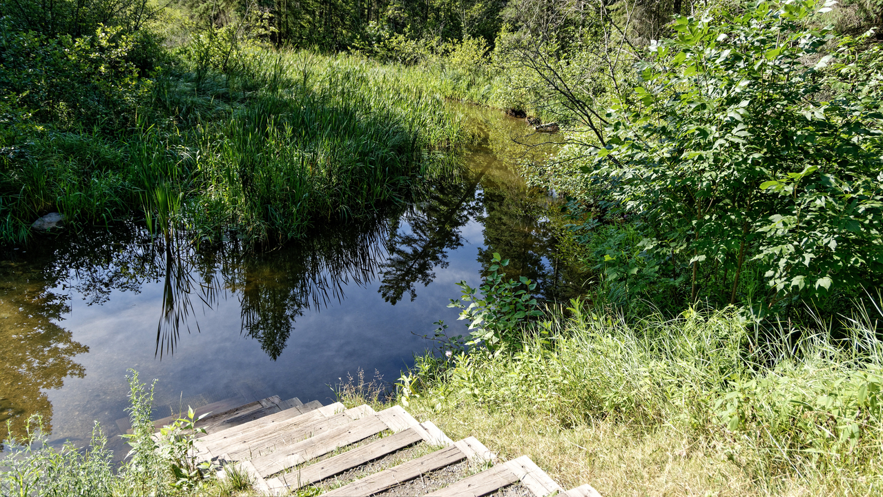 20190809-094908•Mississippi Head Water•Bagley•Minnesota•USA